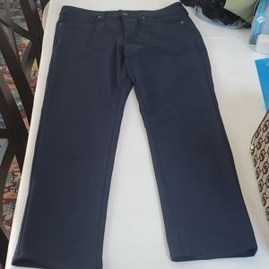 American Eagle Mens Navy Pants
